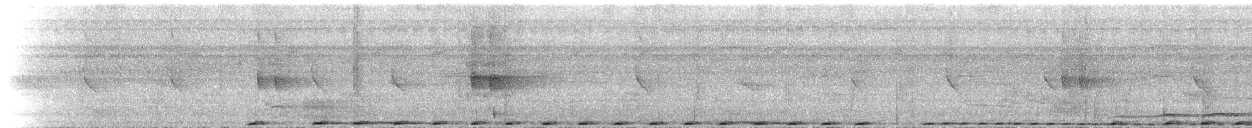Коукал смугастохвостий (підвид spilopterus) - ML640115298