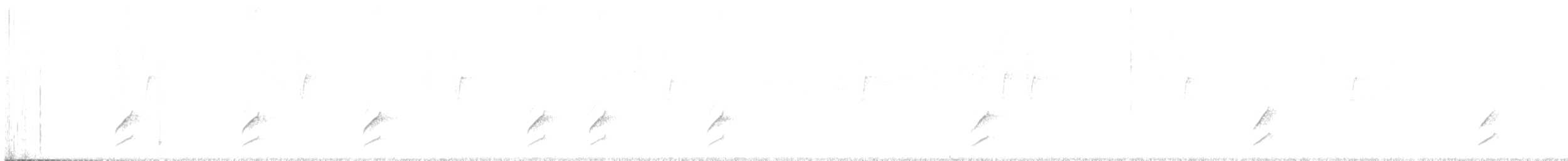 Blackish Tapaculo - ML640115907