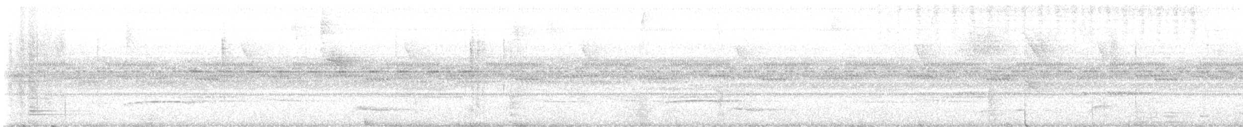 tupinambatukan (culminatus/pintoi) (gulrandtukan) - ML640117581