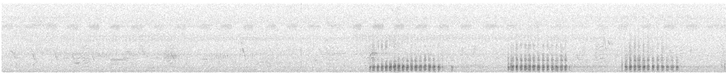 Great Egret (modesta) - ML640117640
