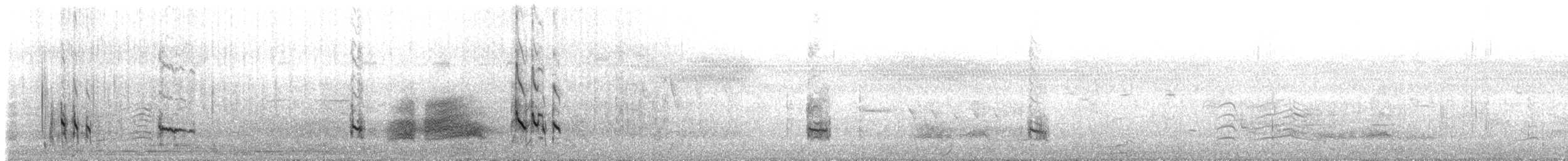 Stilt Sandpiper - ML640118069