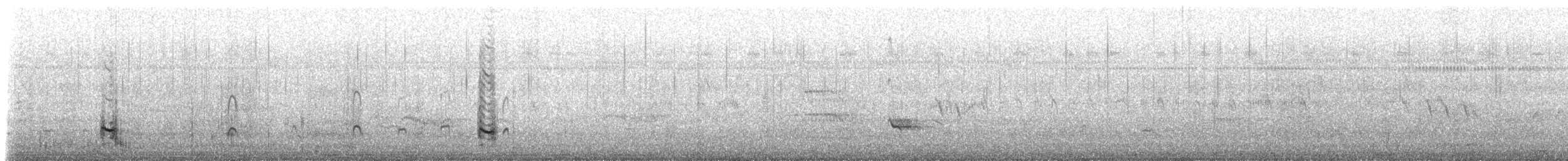 Stilt Sandpiper - ML640118091