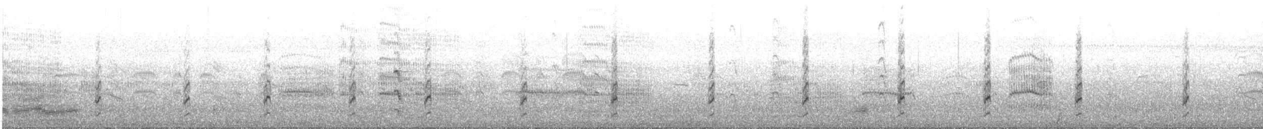 Stilt Sandpiper - ML640118153