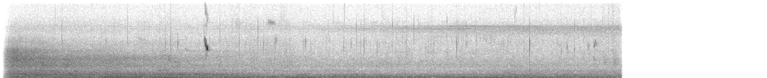 White-rumped Sandpiper - ML640118183
