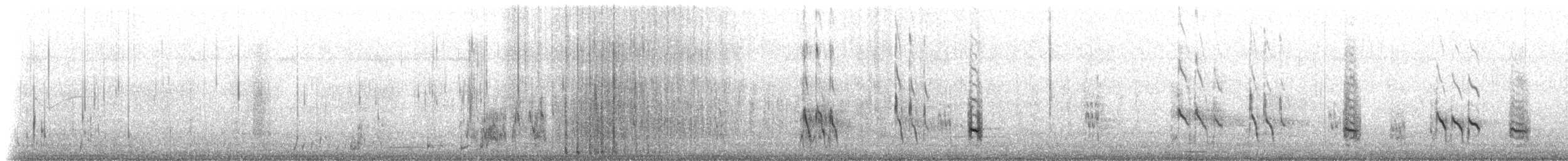 Stilt Sandpiper - ML640118210