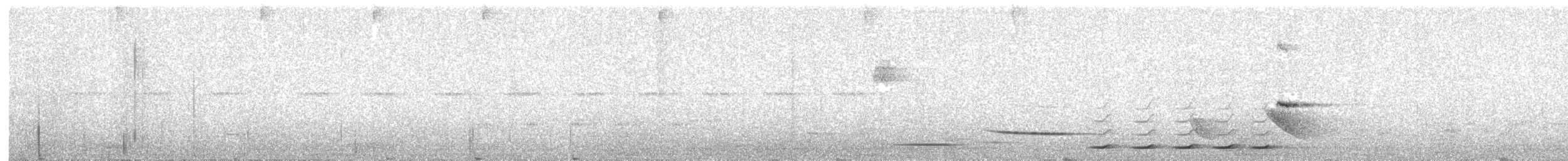 Niceforo's Wren - ML640118758