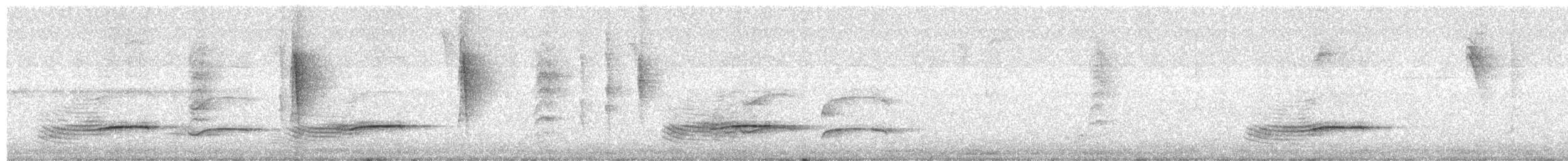 Helmeted Manakin - ML640120605