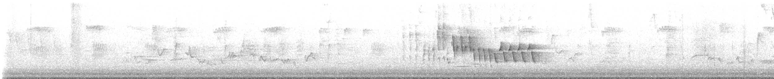 Wood Thrush - ML640120649