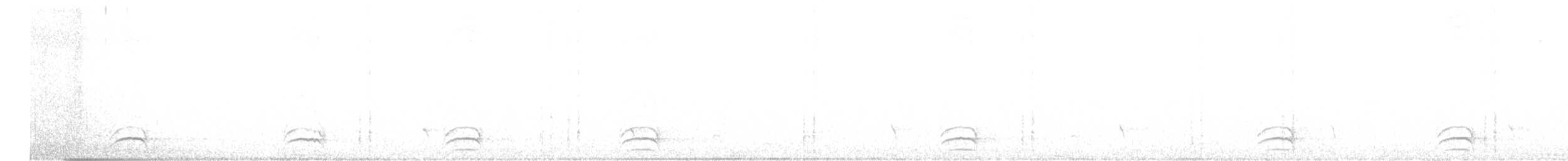 Variable Antshrike - ML640120715