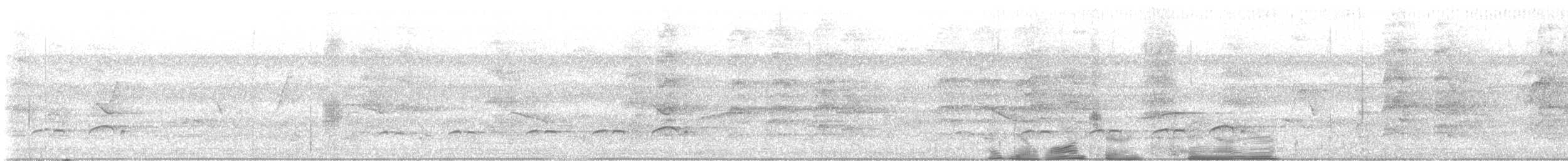 Bright-rumped Attila (Southern) - ML640120946