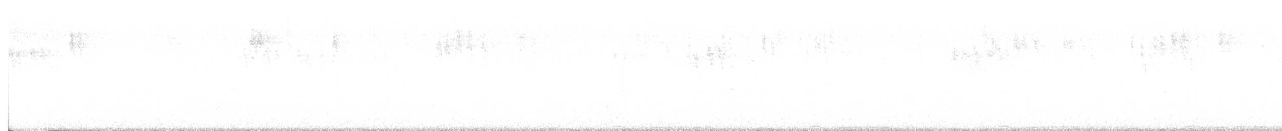 Band-tailed Pigeon - ML640121035