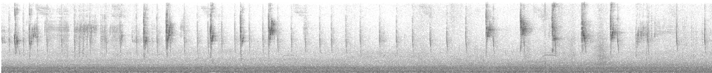 Lesser Violetear - ML640122200