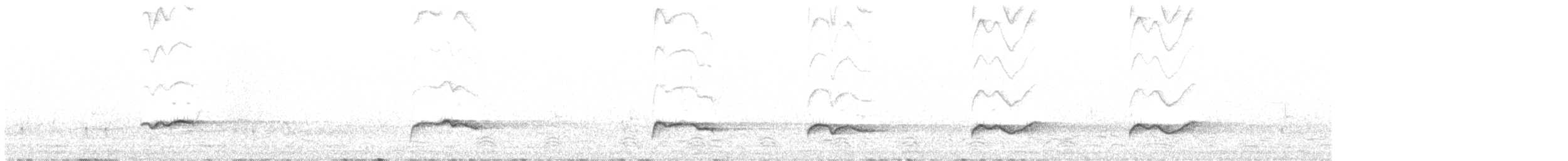 White-lined Honeyeater - ML640122429