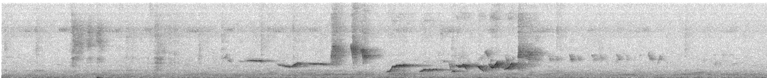 White-rumped Shama - ML640123437