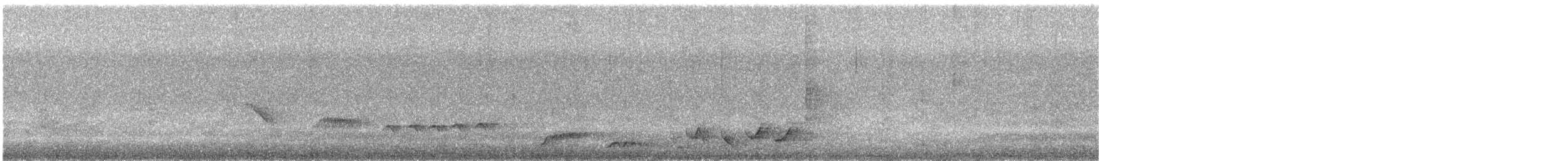 White-rumped Shama - ML640123456