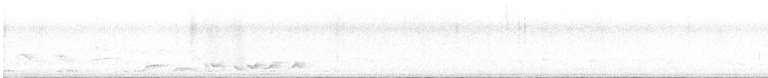 White-rumped Shama - ML640123549