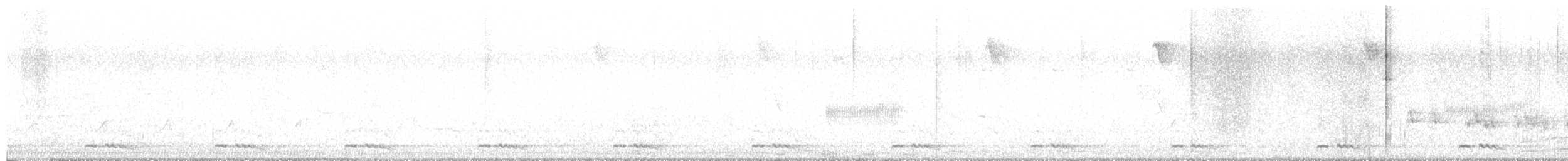 White-rumped Shama - ML640123600