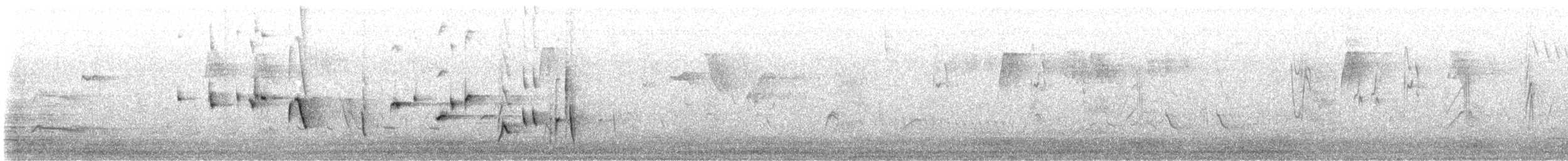 Willie-wagtail - ML640126212