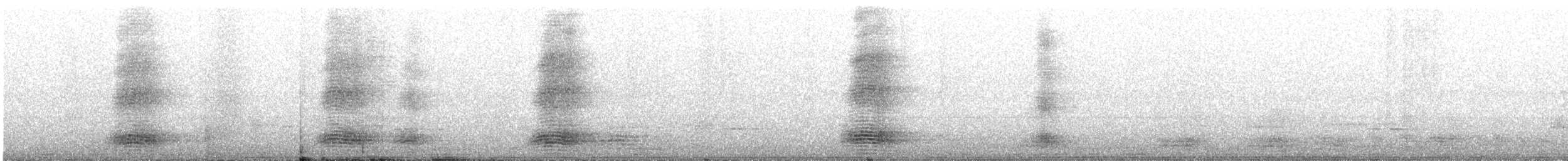 Torresian Crow - ML640127210