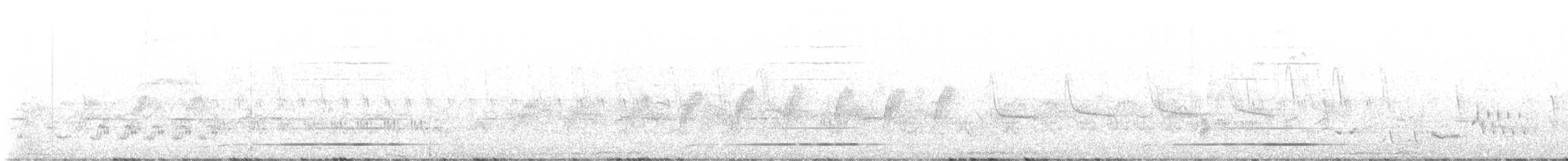 Gray-headed Bushshrike - ML640127457