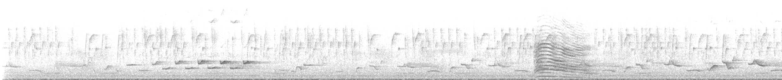 White-browed Robin-Chat - ML640127746