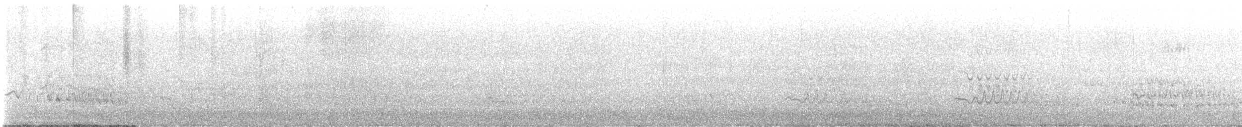 Parakeet Auklet - ML640127859