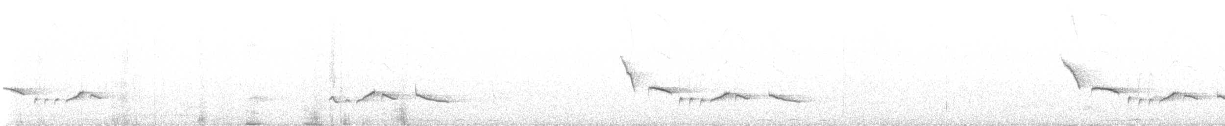 White-browed Scrub-Robin - ML640128030