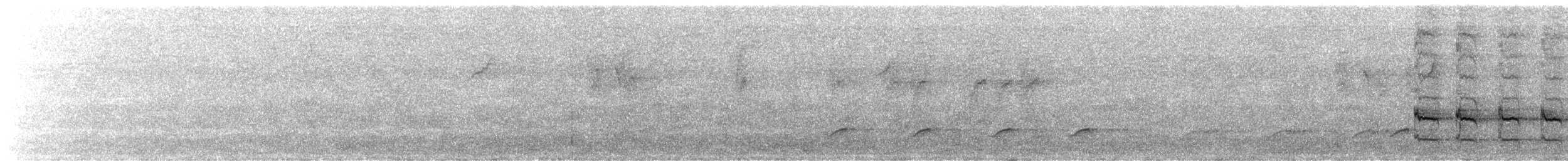 Southern Boubou - ML640128306