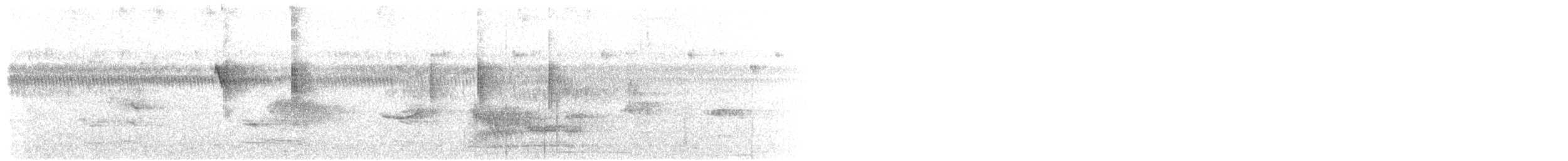 Dicée des Célèbes - ML640129067