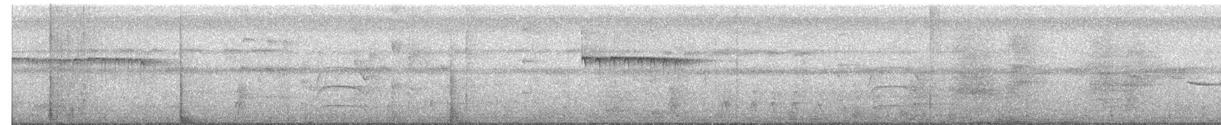 datlíček proužkobřichý - ML640129128
