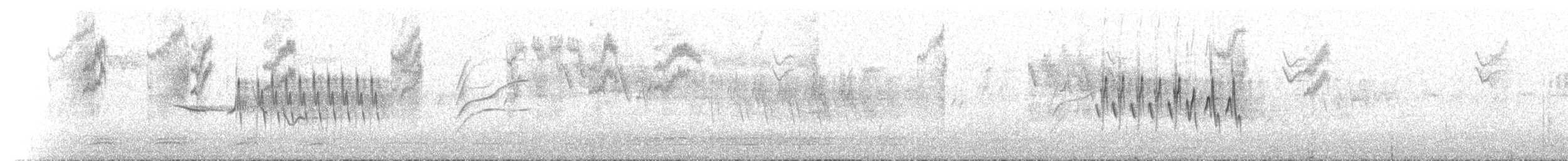 skrentsanger (affinis/perflavus) - ML640129387