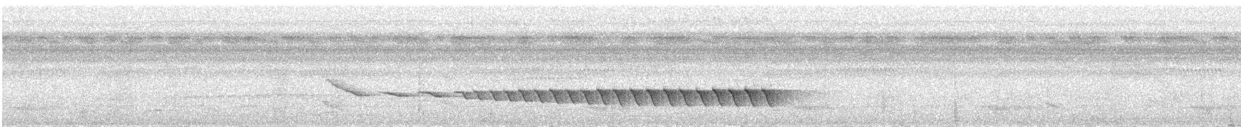 Paruline des rives (mesoleuca) - ML640130203