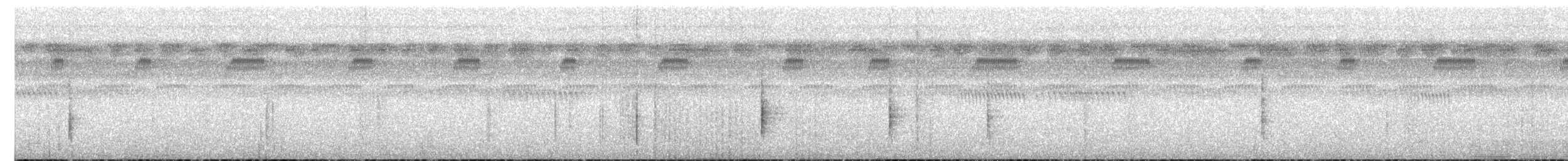 Paruline des rives (mesoleuca) - ML640130412