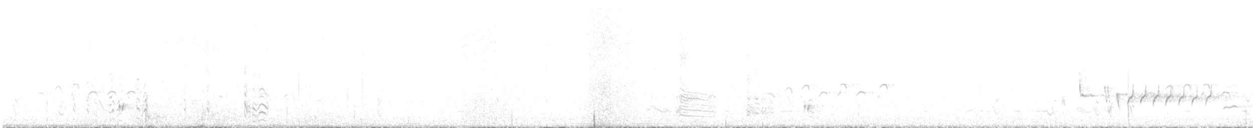 Hall's Babbler - ML640131553