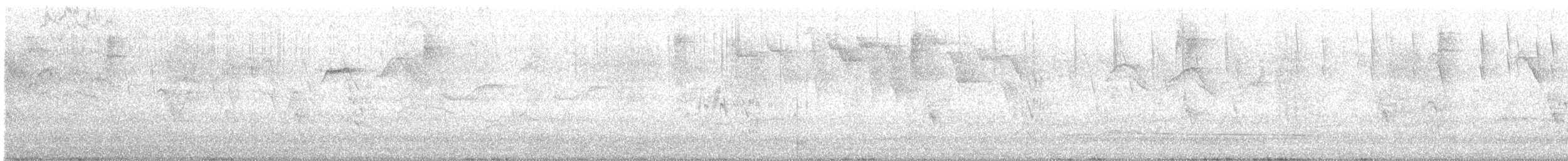 Picazuro Pigeon - ML640132769