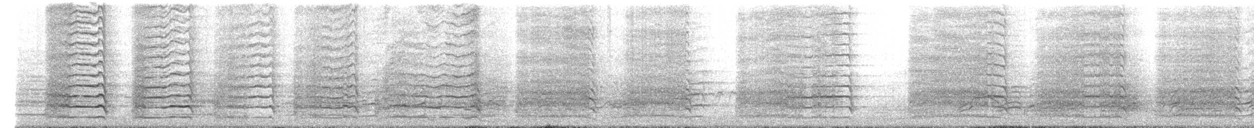 Baudin's Black-Cockatoo - ML640133555