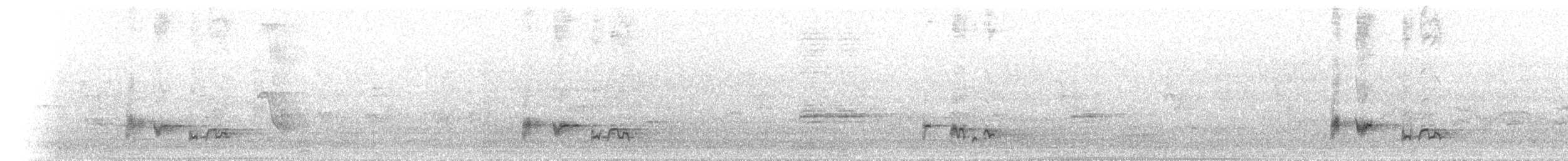 ホオジロヒヨドリ - ML640134014