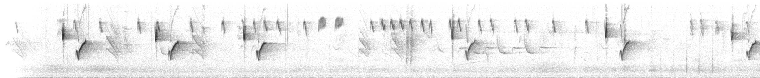 Pouillot couronné - ML640134081