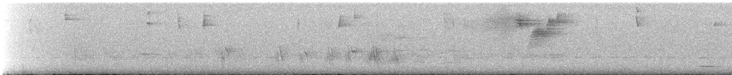 Caribbean Martin - ML640134296