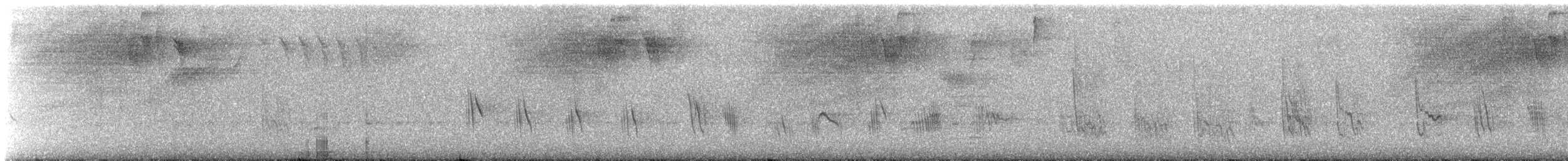 Caribbean Martin - ML640134297