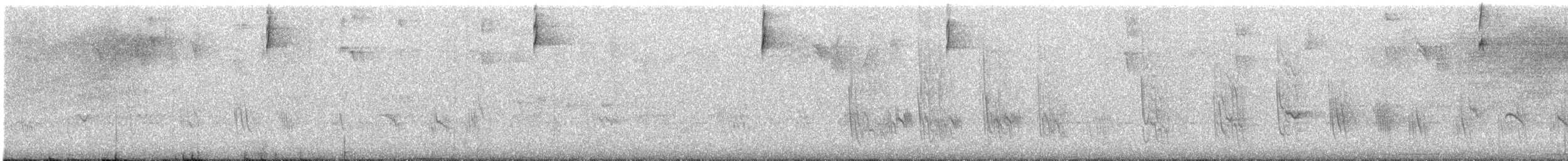 Caribbean Martin - ML640134298