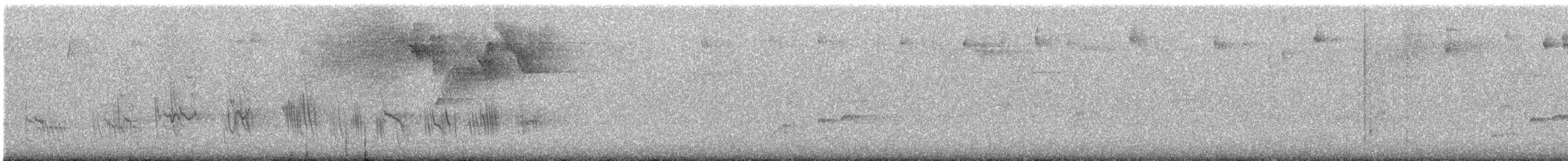 Caribbean Martin - ML640134299