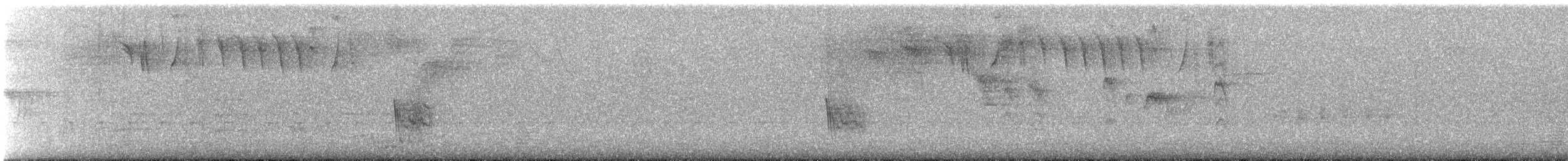 Caribbean Martin - ML640134300