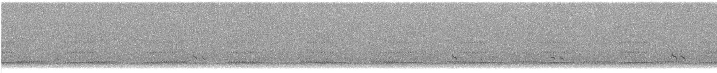 Short-billed Dowitcher - ML640134992