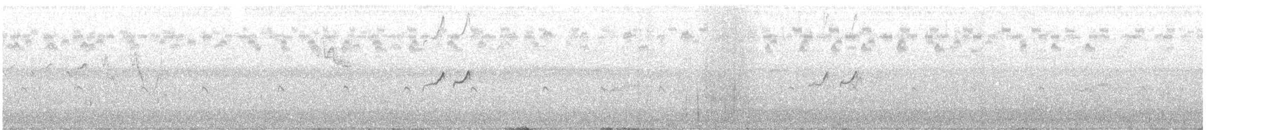 Solitary Sandpiper - ML640135200