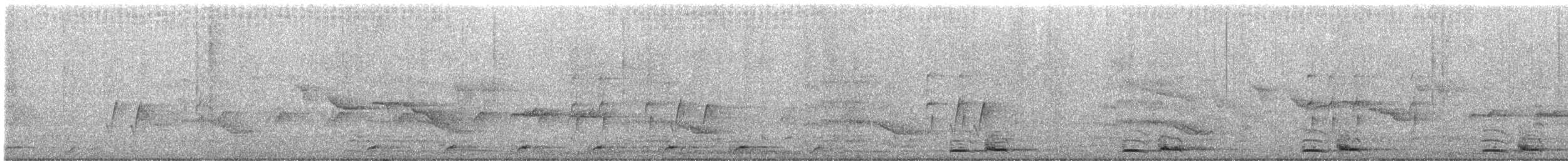 barbet čárkovaný - ML640135257