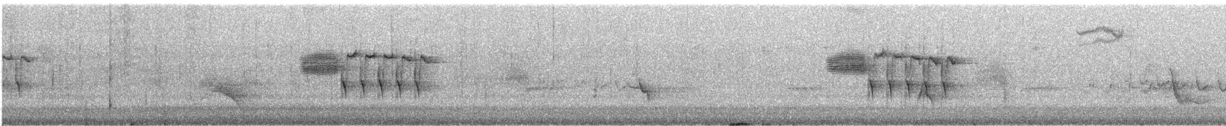 Bewick's Wren - ML640137511