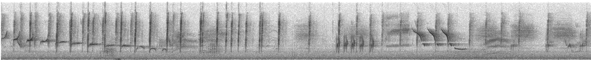 Bewick's Wren - ML640137563