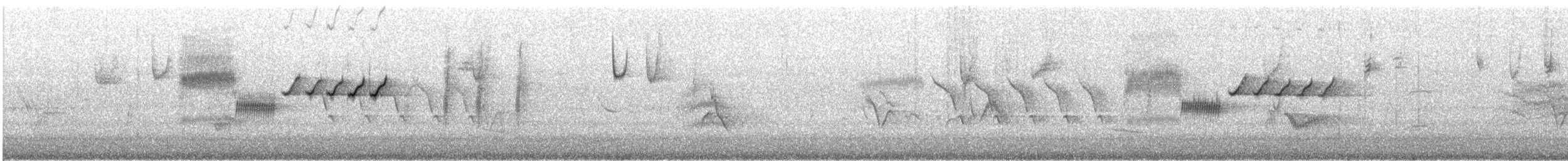 Bewick's Wren - ML640137564