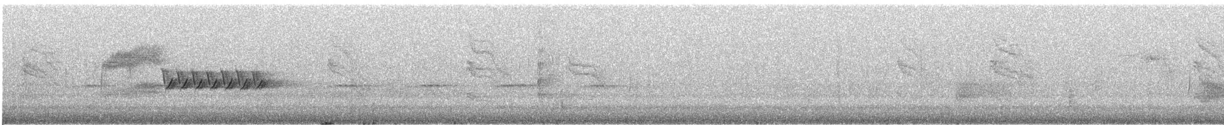 Bewick's Wren - ML640137565